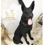 گالری جزیره لوکس