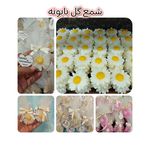 اجرا انواع گیفت مراسمات ملکه شع ها