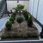 گلسرای دشت سبز