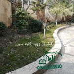 علی رامشینی