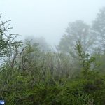 دره تل انبار