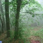 دره تل انبار