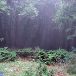 دره تل انبار