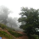 دره تل انبار