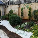 علی رامشینی