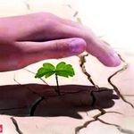 دکتراسماعیلی