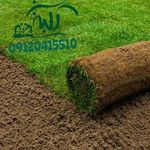 علی رامشینی