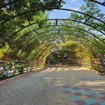 مجتمع توریستی کوثر