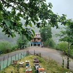 رستوران پویا