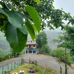 رستوران پویا