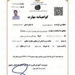 سیدمهدی میری