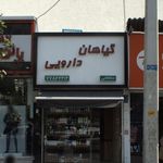 گیاهان دارویی سلطانی