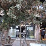 نانوایی تافتون سنتی زمانی