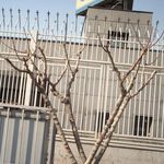 شرکت ارتباطات زیر ساخت