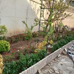 خدمات باغبانی هرس کاری صاحبدل