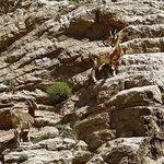 پارک ملی کنتال