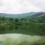 سد خاکی توشن