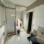 گچ کاری و نقاشی ساختمان اسدی