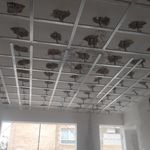 علی رضا کیامرثی نسب