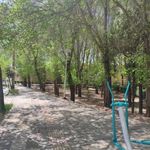 فضای سبز