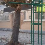 سازمان حمل ونقل همگانی شهرداری اشنویه