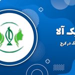 مرکز پیرسینگ آلا