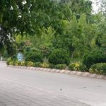 دانشگاه آزاد ساری