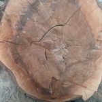 رامبرش اصفهان 110