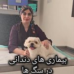 کلینیک دامپزشکی تریتامیرداماد