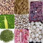 محصولات خانگی فلاح گردو بادام حلوا ارده