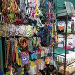 چکاوک زینتی