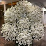 گلفروشی لوکس ویوا فلورا