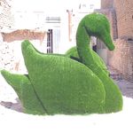 گروه هنری کاریزما