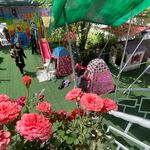 مهدکودک زرافشان