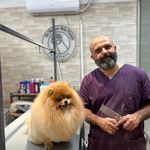 کلینیک دامپزشکی دکتر نیک پنجه