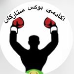 آکادمی بوکس ستارگان بانه
