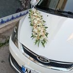 گل فروشی سلیمانی