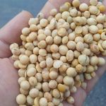 تعاونی نگین سبز زرندیه