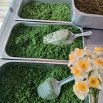 سبزی آماده رز و ریحان