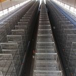 امکان ماشین تیام