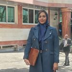 وکیل دادگستری