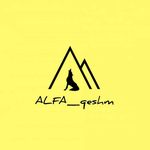 کافی نت آلفا درگهان