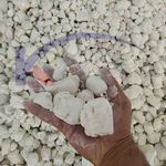 شرکت توسعه کیمیای شرق صدرا