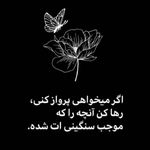 روانکاو  و زوج درمانگر دکتر محیااصغری