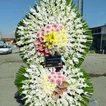 گل فروشی دنیز (آنلاین) -ارسال فوری