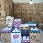 پخش تخم مرغ عمده و خرده (فرزاد)