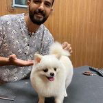 آرایشگاه تخصصی حیوانات امیر مهرابی