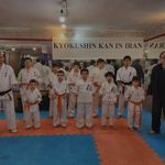 باشگاه کاراته بابک