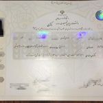 مدرک تحصیلی دیپلم تا دکترا