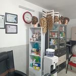 آرایشگاه عروس شیشه ای